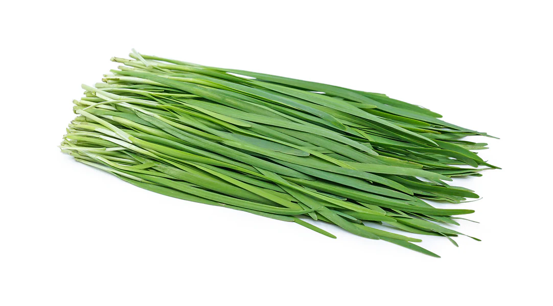 Chives
