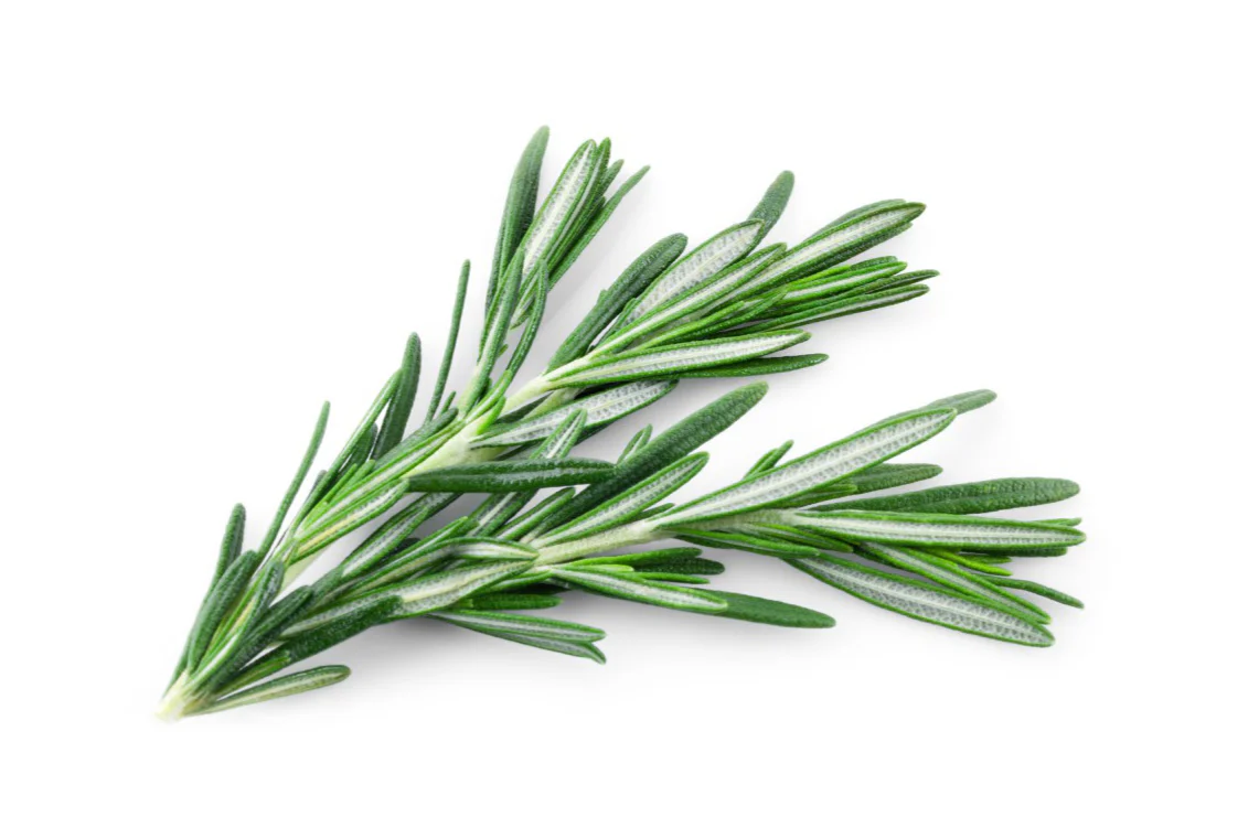 Rosemary